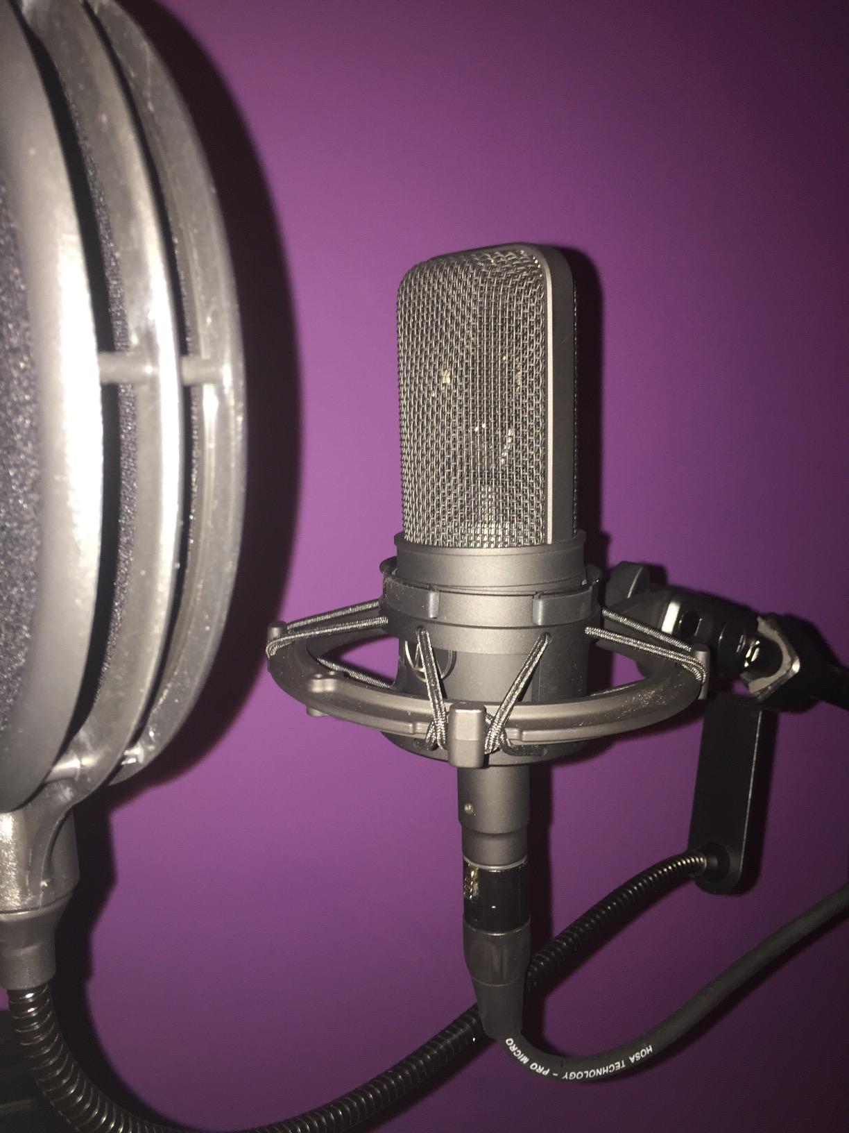 Audio-Technica AT4040 Cardioid Condenser Microphone customer photo 2