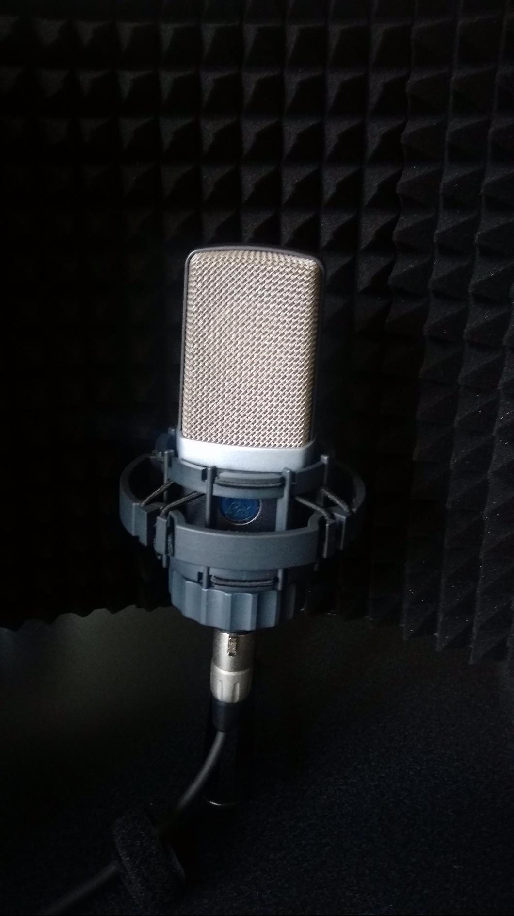 AKG Pro Audio C214 Studio Grade Professional Large Diaphragm, Single Capsule, Vocal and Instrument Condenser Microphone with Rugged Aluminum Carrying Case. XLR Connector. Gray with Gold customer photo 1