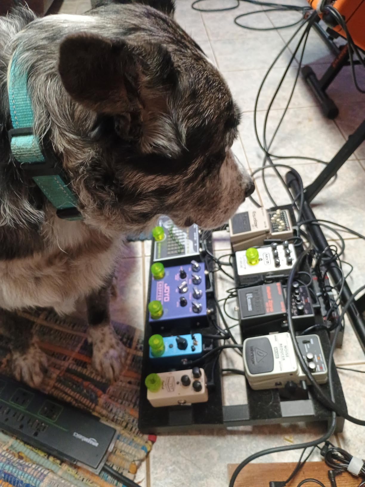 Donner Blues Drive Overdrive Guitar Pedal, Vintage Overdrive Effect Warm/Hot Modes, True Bypass customer photo 2