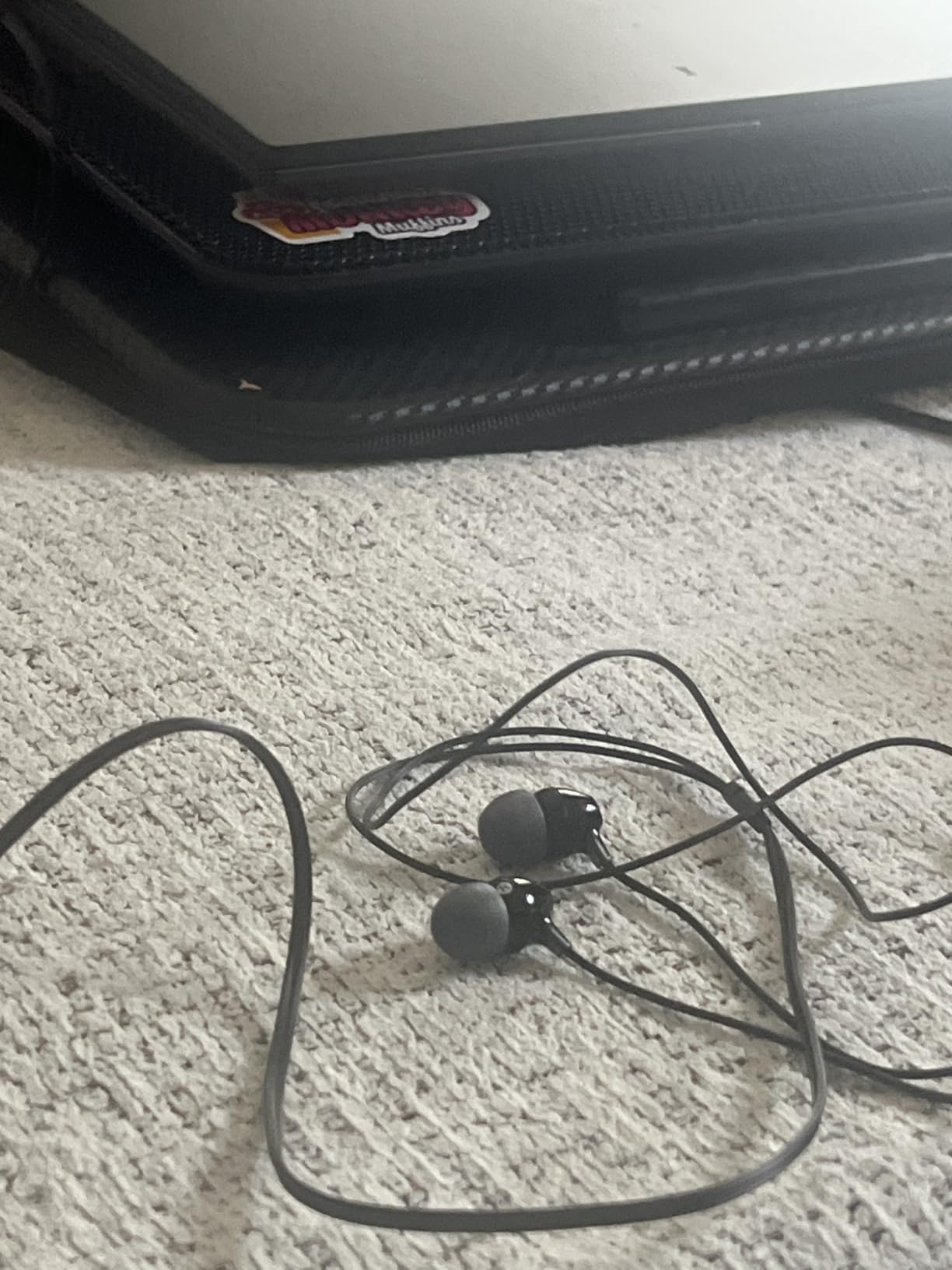 Sony MDREX15LP in-Ear Earbud Headphones, Black customer photo 1