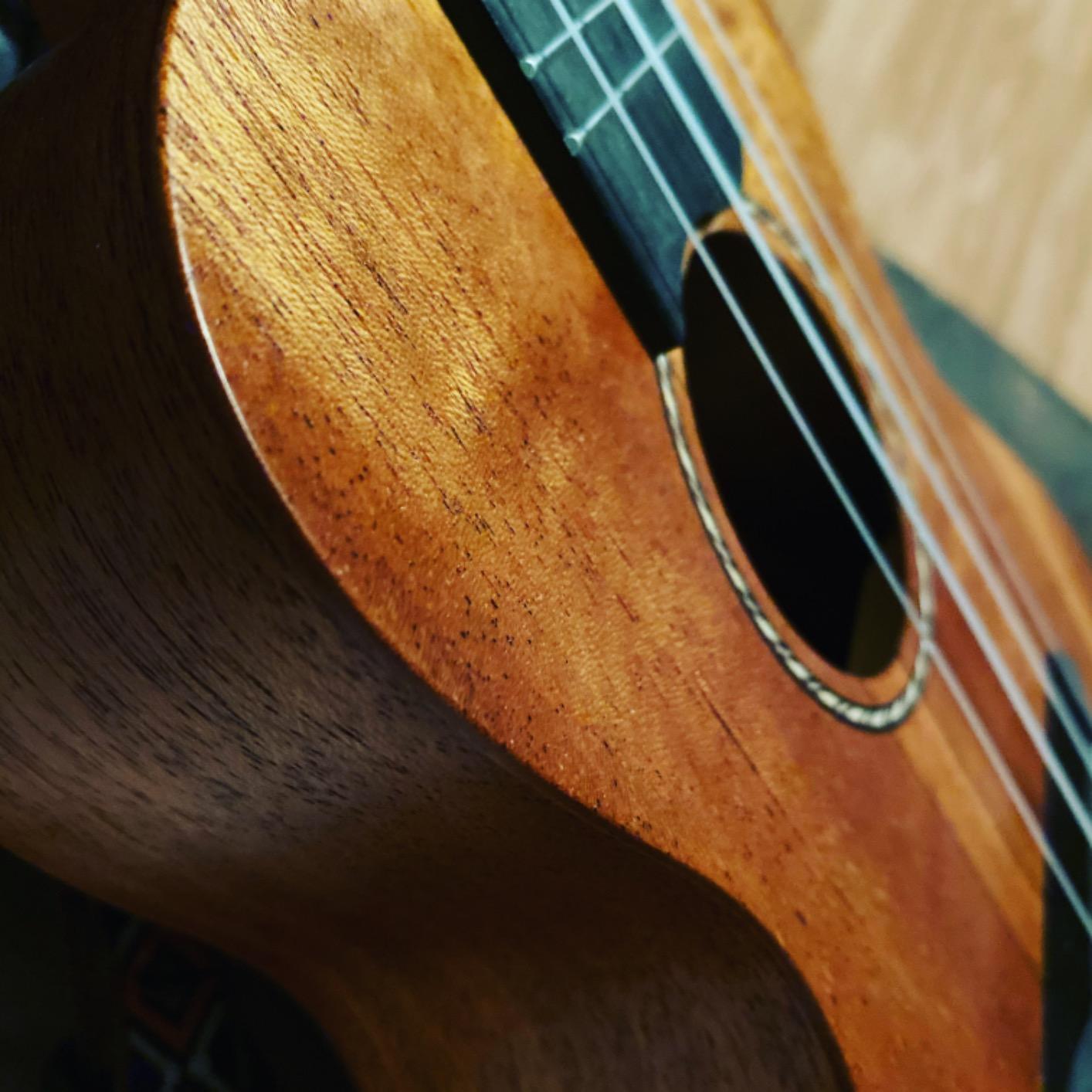 Donner Tenor Ukulele Mahogany Professional 26 inch Ukelele Starter Bundle Kit with Free Online Lesson Gig Bag Strap Nylon String Tuner Picks Cloth DUT-1 Ukalalee Set customer photo 1