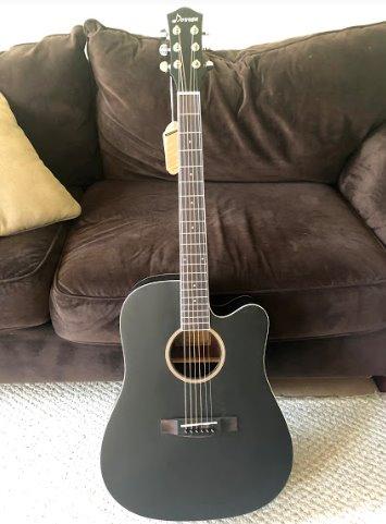 Donner 41” Acoustic Guitar Bundle for Beginners Adults with Online Lesson, 4/4 Full Size Steel Acustica Guitarra with Gig Bag, Tuner, Strap, Strings, Picks, Capos, Cutaway, Natural, DAG-1C/DAD-110C customer photo 2