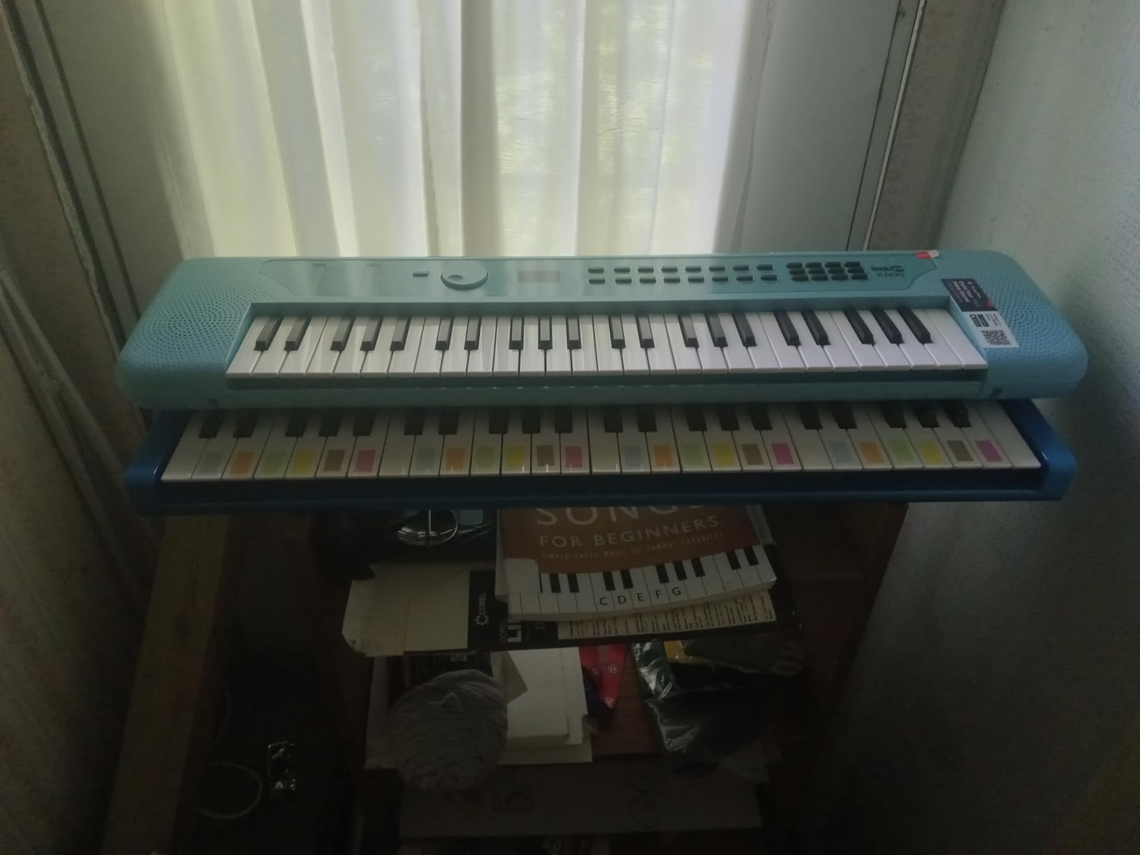 RockJam RJ549 49 Key Keyboard Piano for Beginners with Note Stickers customer photo 1