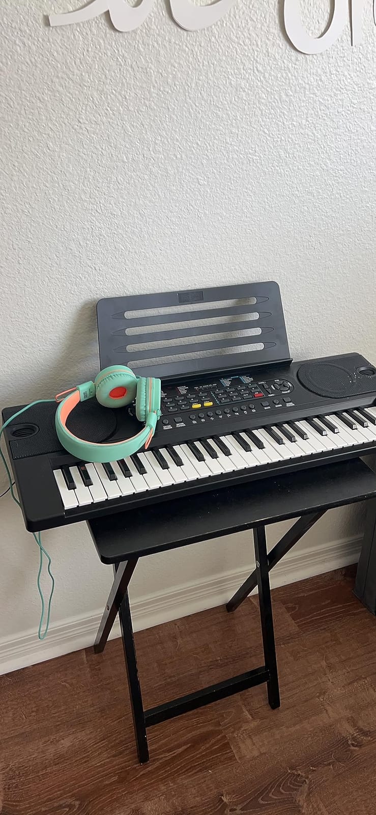 RockJam RJ549 49 Key Keyboard Piano for Beginners with Note Stickers customer photo 2