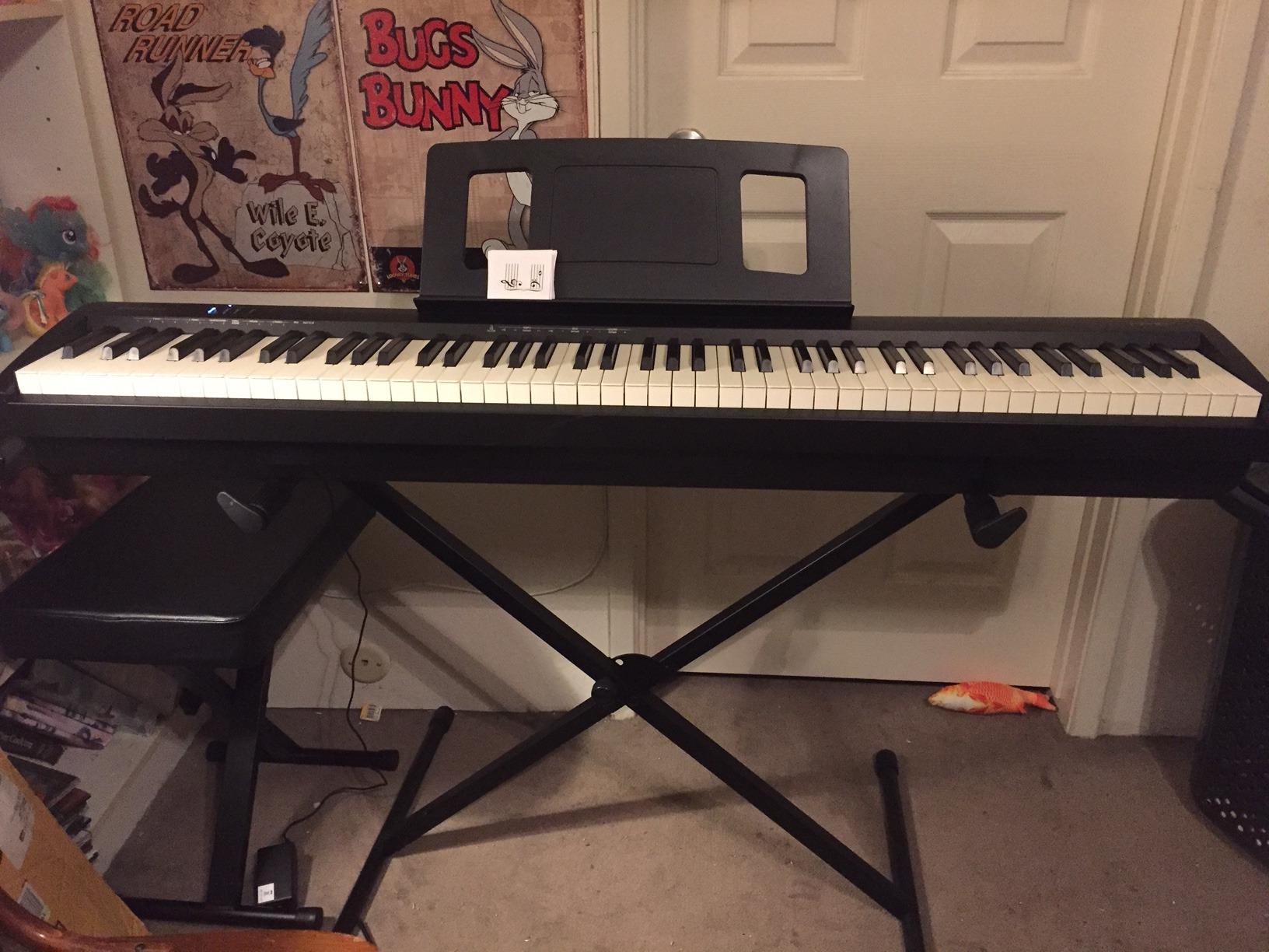 Roland FP-10 Compact 88-Note Digital Piano customer photo 2