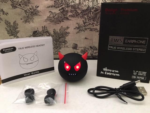 Tiny Bluetooth Earbuds, Kids Wireless Ear Bud with Cute Charging Case, Waterproof Stereo Wireless Earphone with Microphone for Workout Sport, Kids Headphones for Phone and Pad customer photo 2