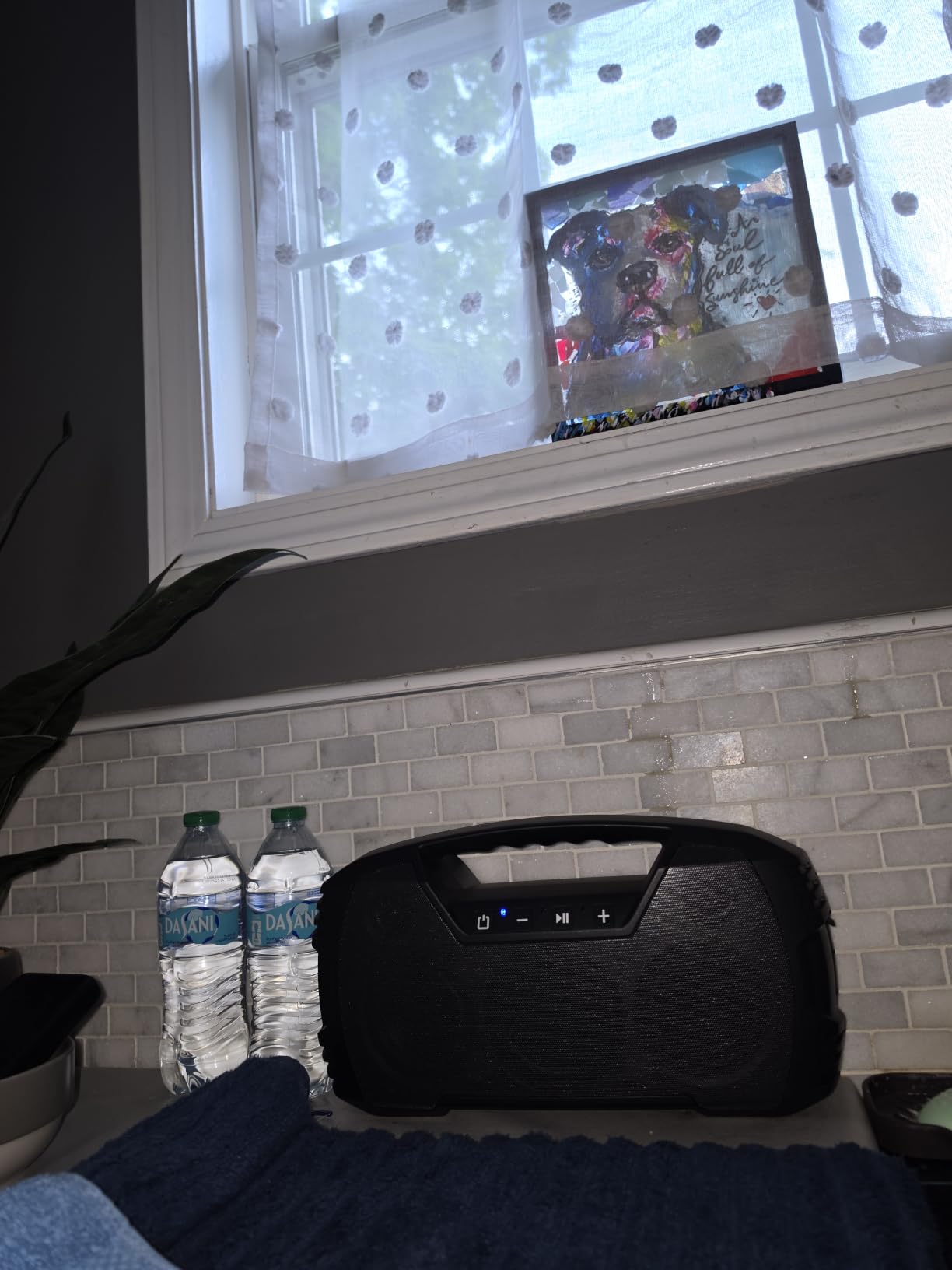 Outdoor Bluetooth Speaker, IPX7 Waterproof, 90W Peak, 32H, Black customer photo 2