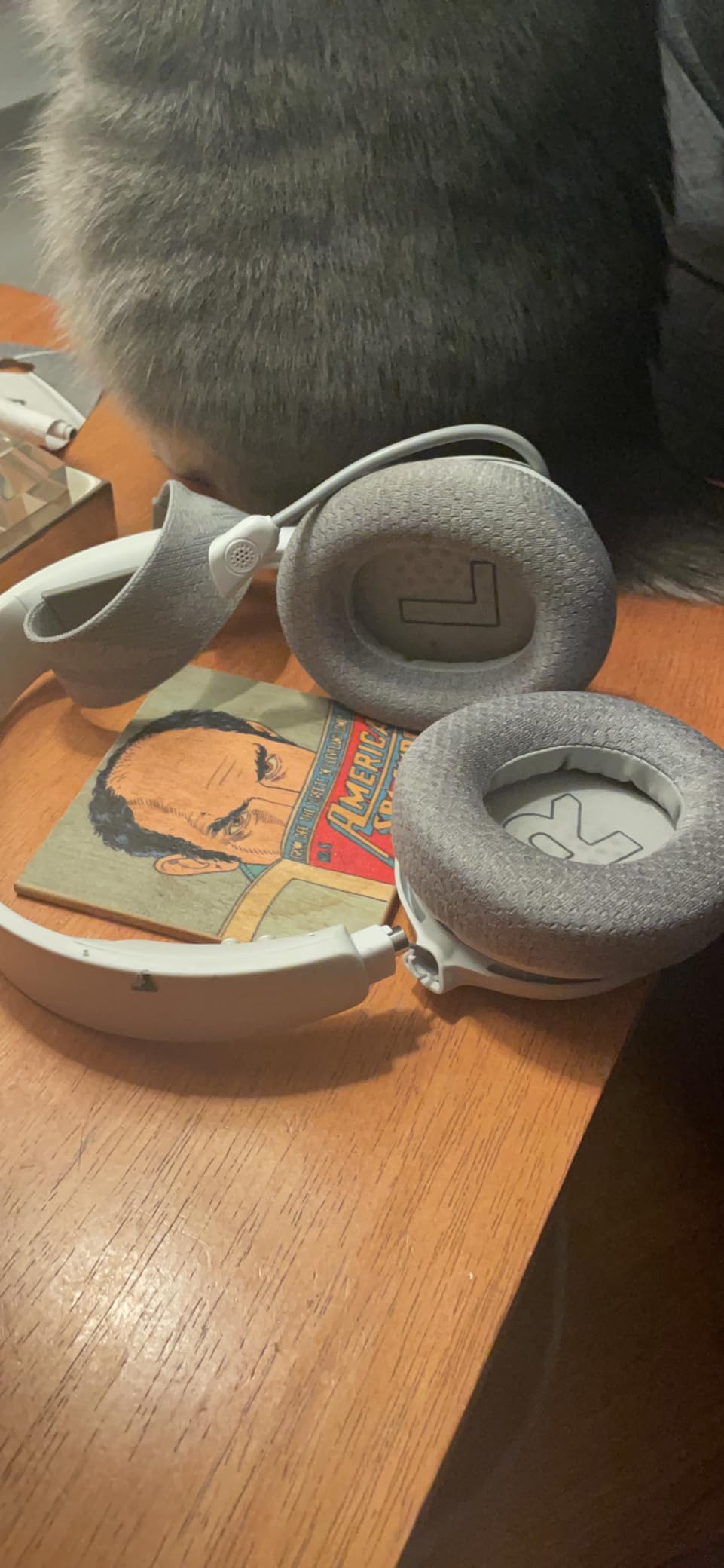 SteelSeries Arctis Nova 1P Multi-System Gaming Headset - Hi-Fi Drivers, 360 Spatial Audio, Comfort Design, Noise-Cancelling Mic, PS5/PS4, PC, Xbox, Switch, White customer photo 2