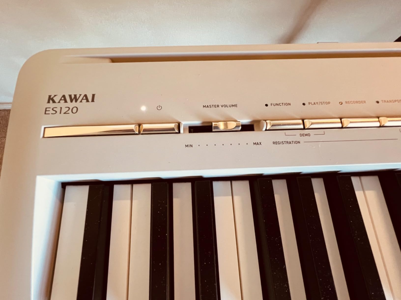 Kawai ES120 88-key Digital Piano with Speakers - Black customer photo 2