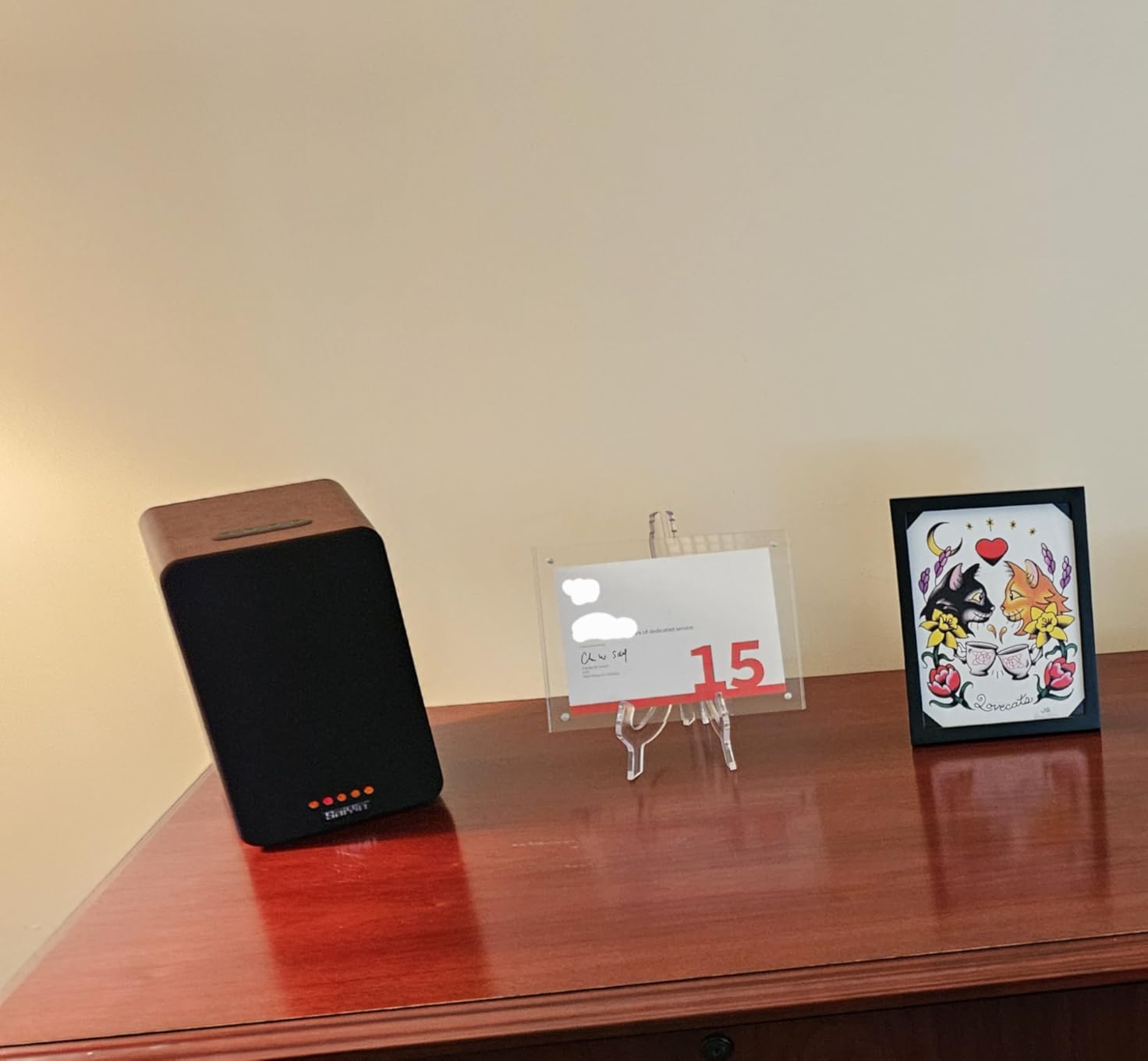 Saiyin Powered Bluetooth Bookshelf Speakers customer photo 2