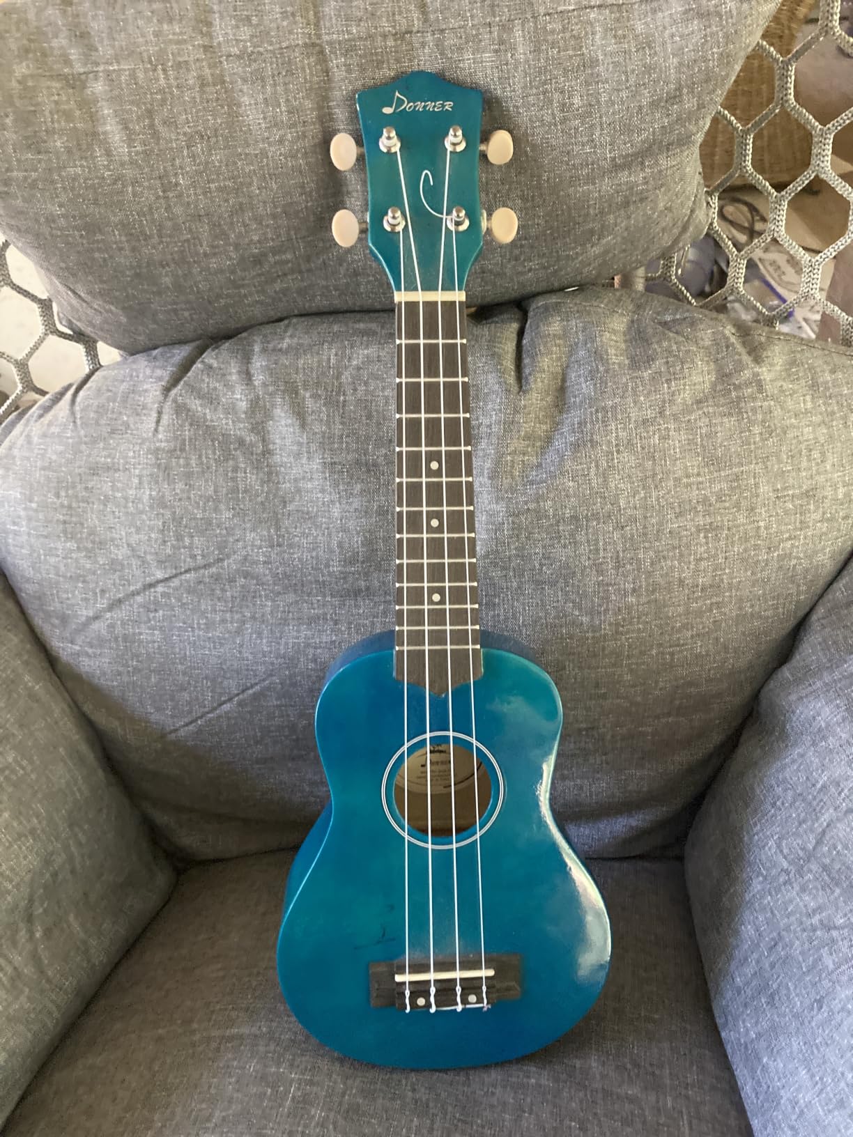 Donner Soprano Ukulele for Beginners 21 Inch Ukelele Starter Bundle Kit with Free Online Lessons Bag Strap String Tuner Picks Cloth Ukalalee Yukalalee (Blue) customer photo 2