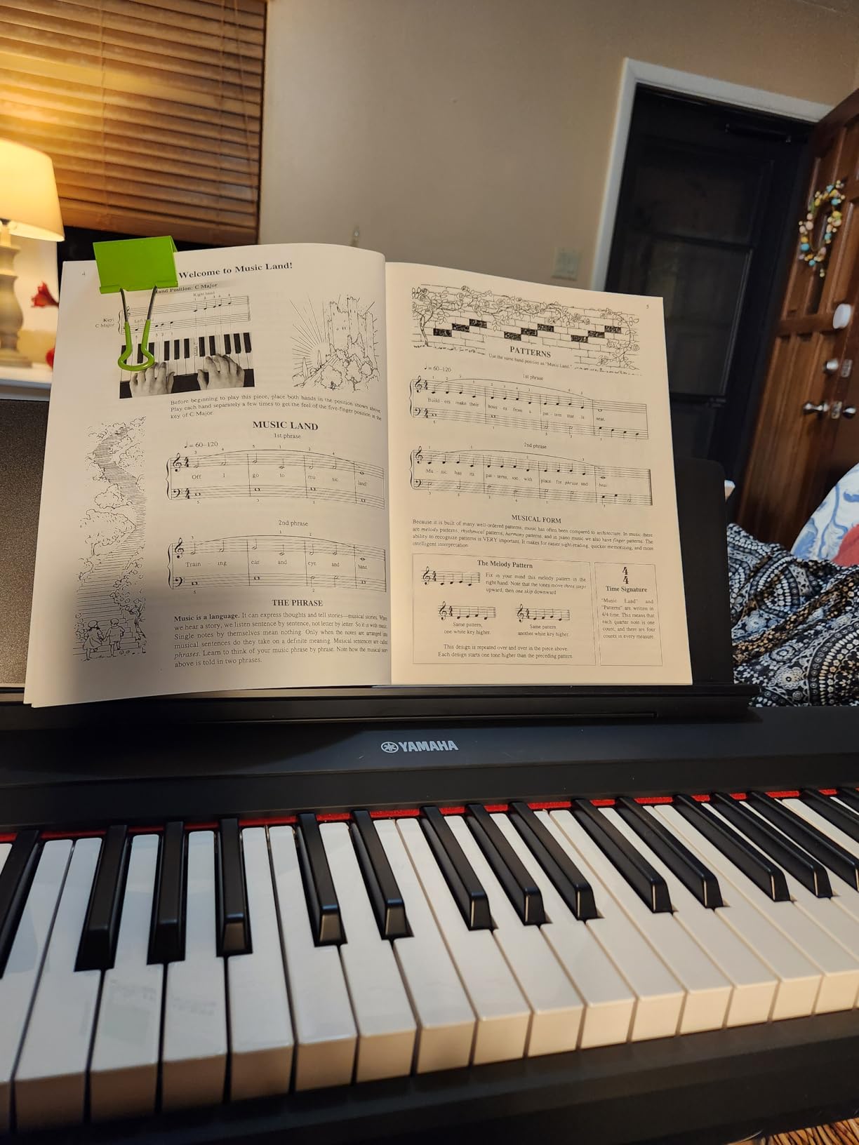 Yamaha Piaggero 61-Key Ultra-Portable Digital Piano, Touch Sensitive Keys, Metronome, Recording Function, Black NP15B customer photo 1