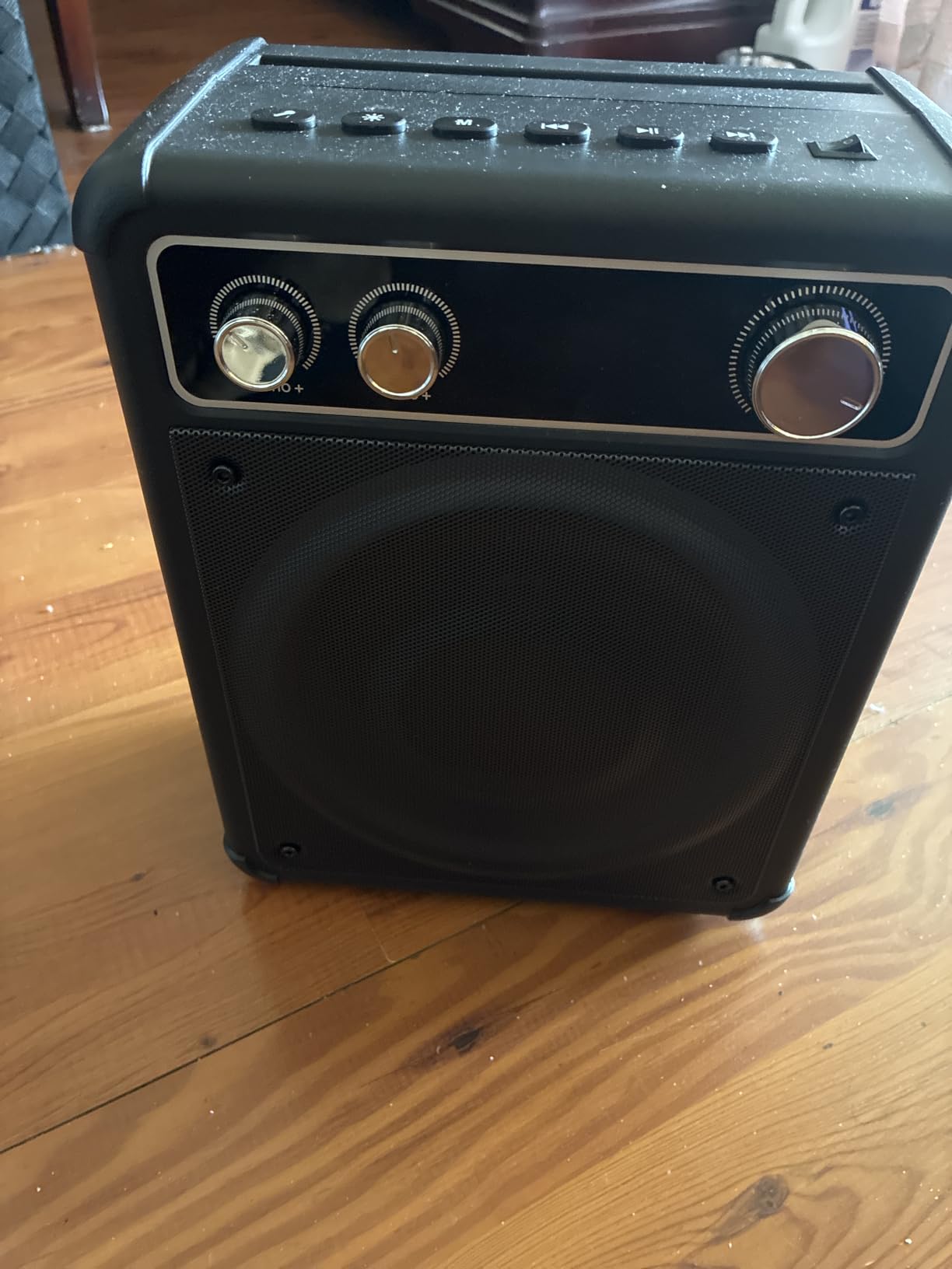 VOSOCO Karaoke Machine, Bluetooth Speaker with 2 Wireless Mics for Adults customer photo 1