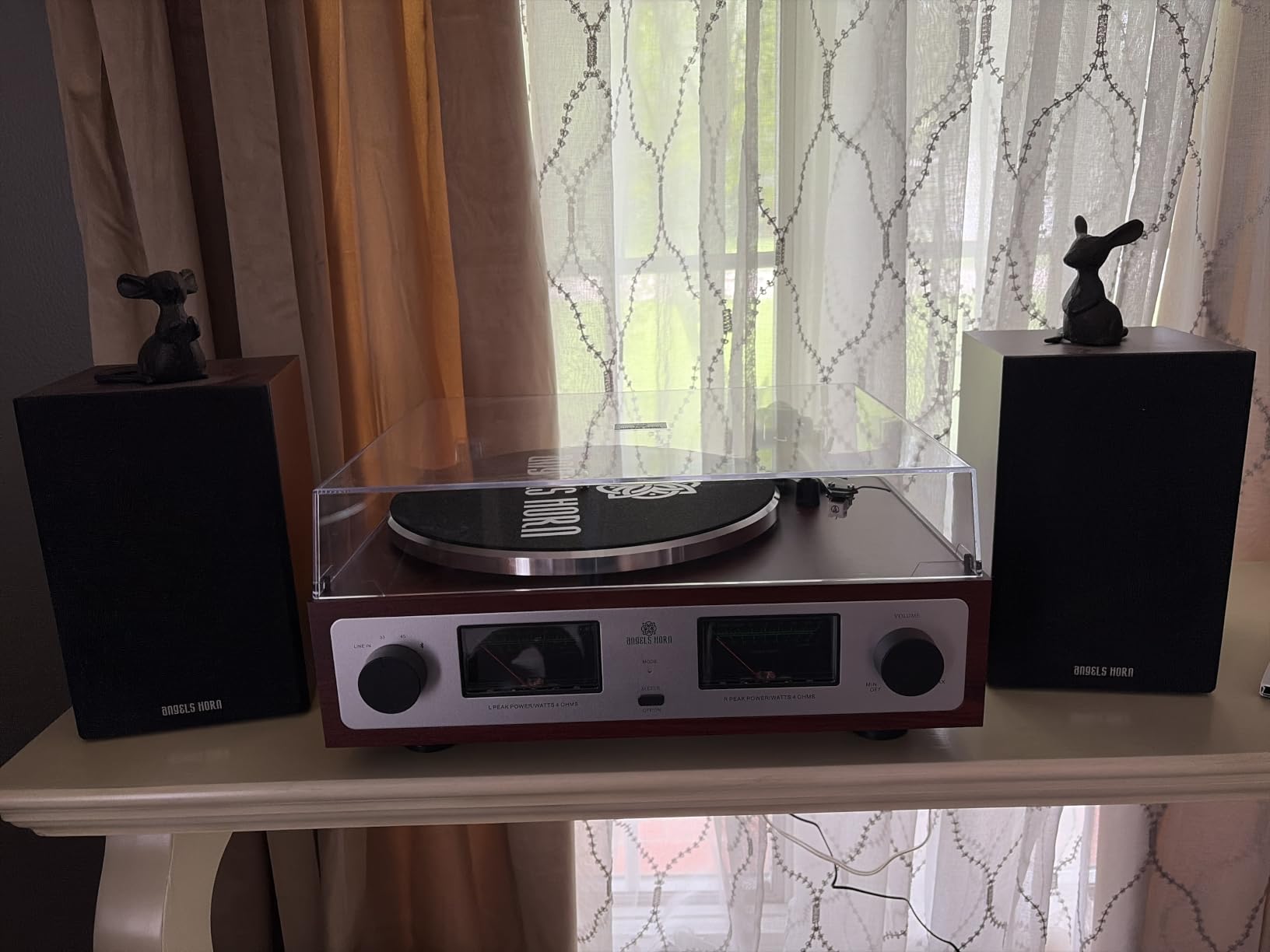 ANGELS HORN Vinyl Record Player with Speakers, Bluetooth Hi-Fi Turntable customer photo 1