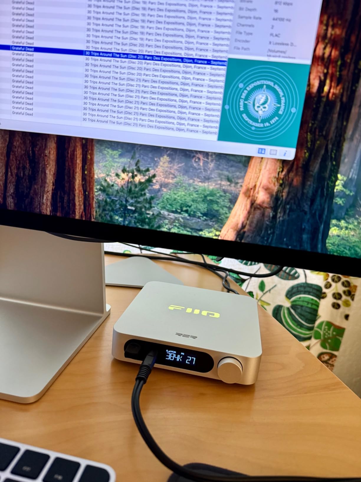 FiiO K11 R2R DAC and Headphone Amplifier for Home Audio or PC, 6.35mm and Balanced 4.4mm, RCA, Coaxial, Optical, 1300mW, 384kHz/24Bit DSD256 customer photo 1