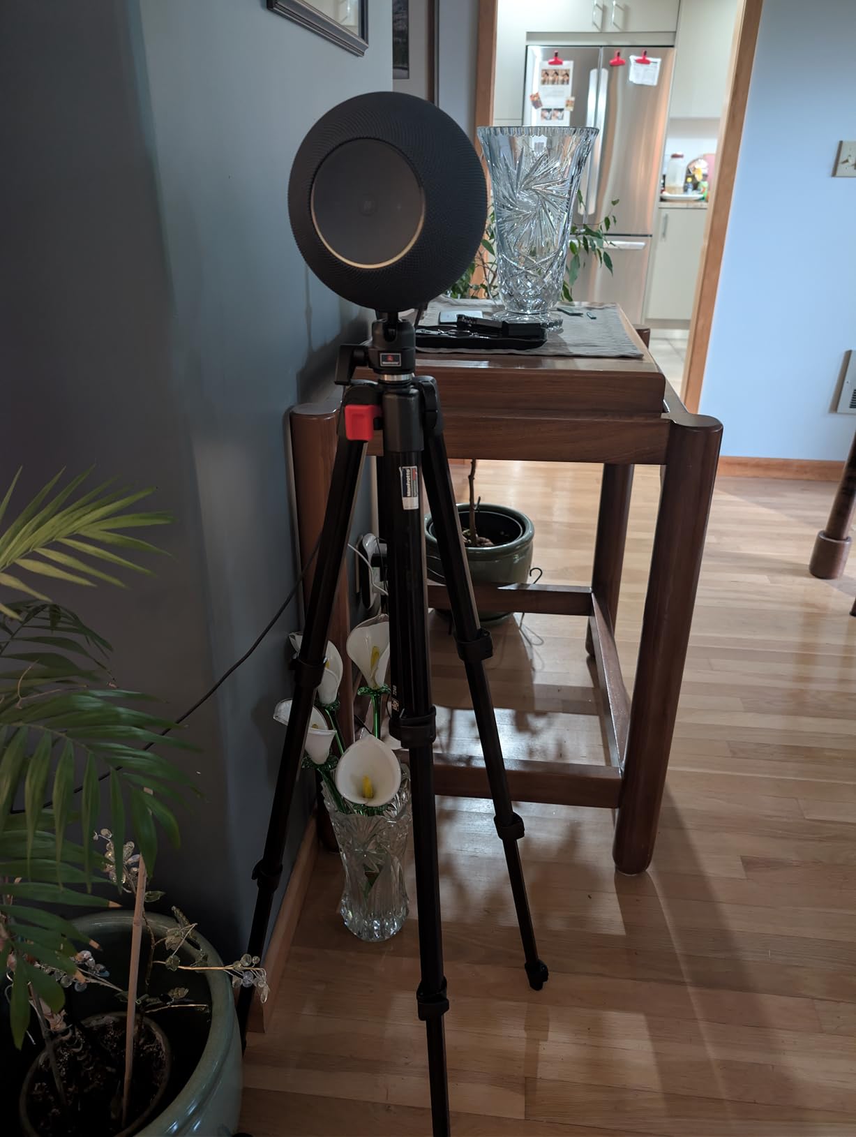 Amazon Echo Studio (newest model), Immersive spatial audio and Dolby Atmos, Designed for Alexa+, Graphite customer photo 1