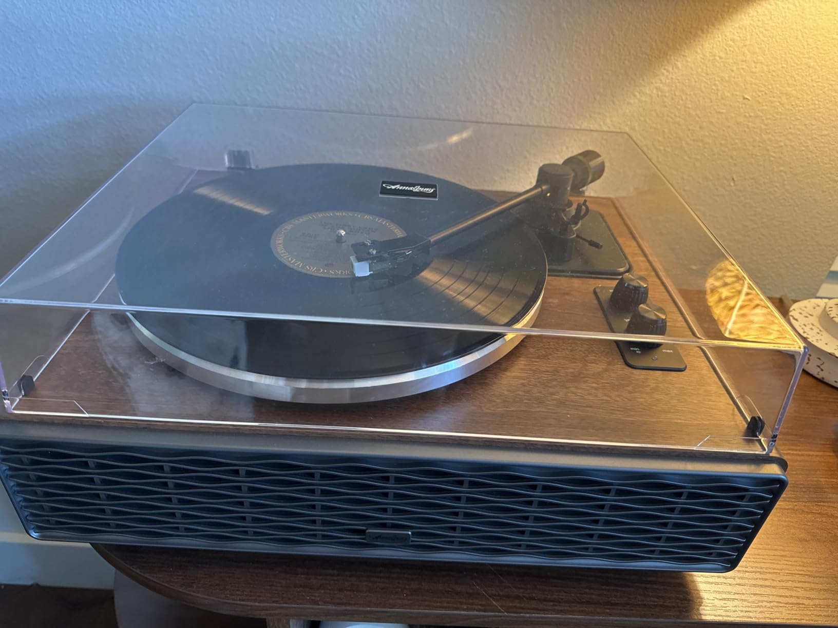 Annesburg Vinyl Record Player, Hi-Fi Bluetooth Turntable with Speakers | Adjustable Counterweight, 33/45 RPM, AT3600L Stylus, Automatic Stop, RCA output Vintage Phonograph Home Decor customer photo 2
