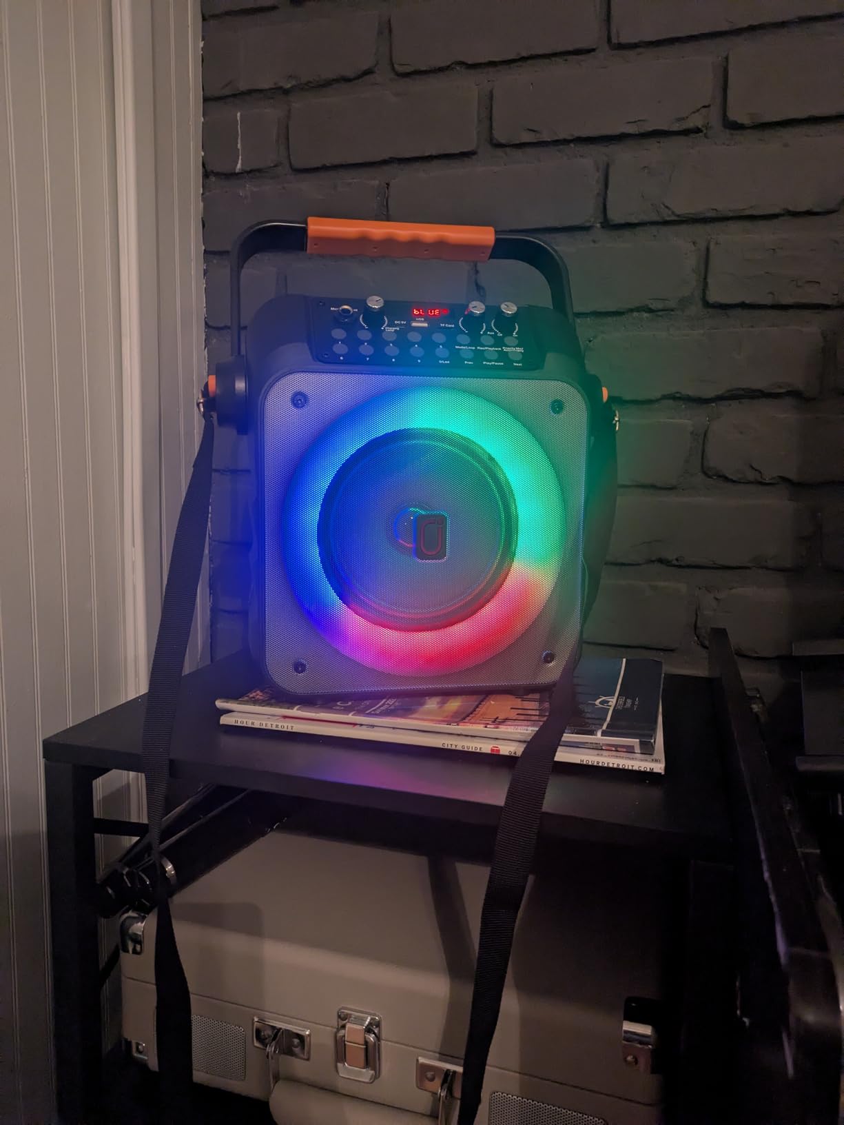HWWR Karaoke Machine with 2 Mics for Adults & Kids, All-in-One Karaoke Set customer photo 1