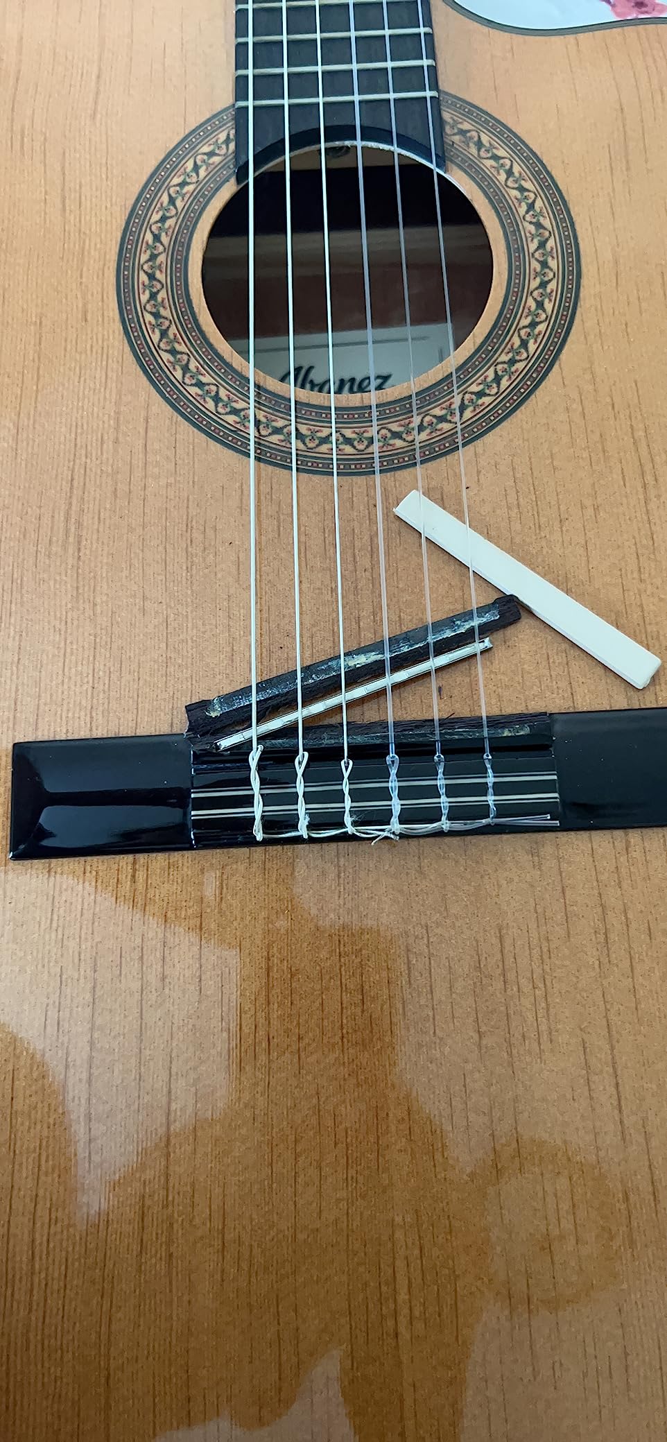Ibanez 6-String Classical Guitar, Right, Natural customer photo 2