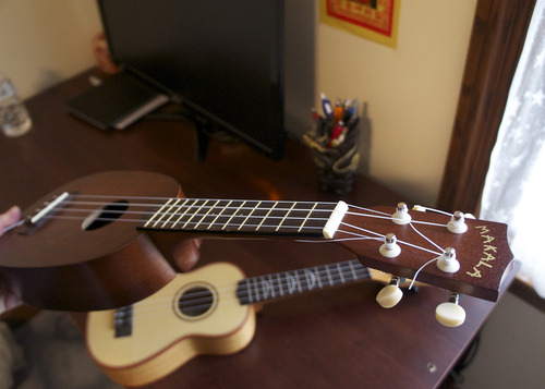Kala KA-MK-P Makala Pineapple-Style Soprano Ukulele customer photo 1