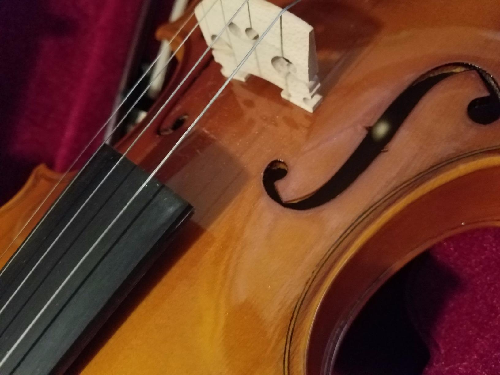 Mendini by Cecilio 4/4 Violin Set For Beginners - Hand Carved Full Size Violin Kit - Ebony Fitted Solid Wood Fiddle Kit with Hard Case, Two Bow, Rosin, Shoulder Rest and Extra Strings (Varnish) customer photo 1