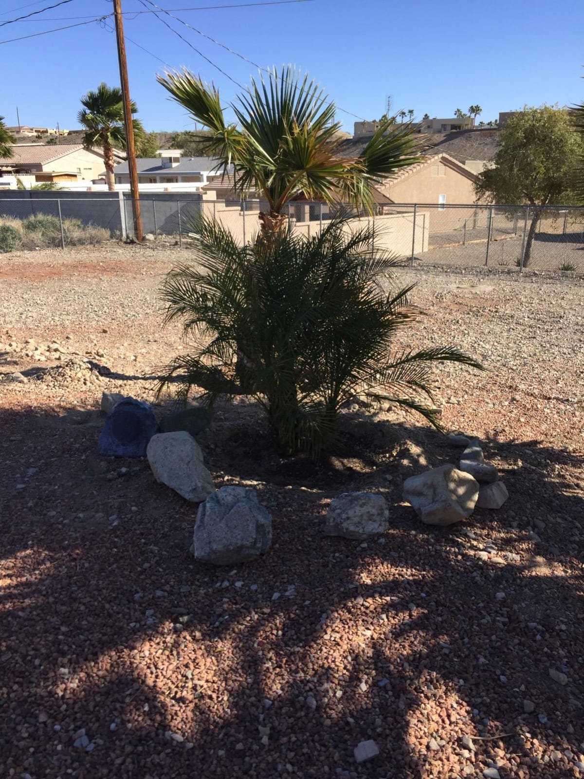 Theater Solutions 2R6G Outdoor Granite 6.5