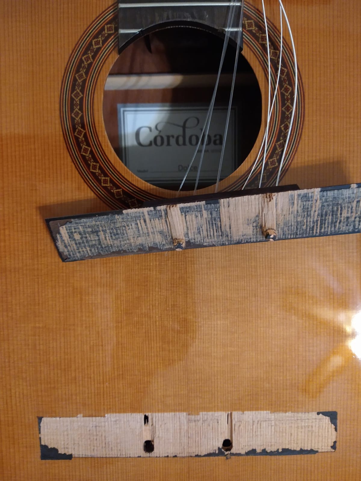 Cordoba Dolce 7/8 Nylon String Acoustic Guitar customer photo 1
