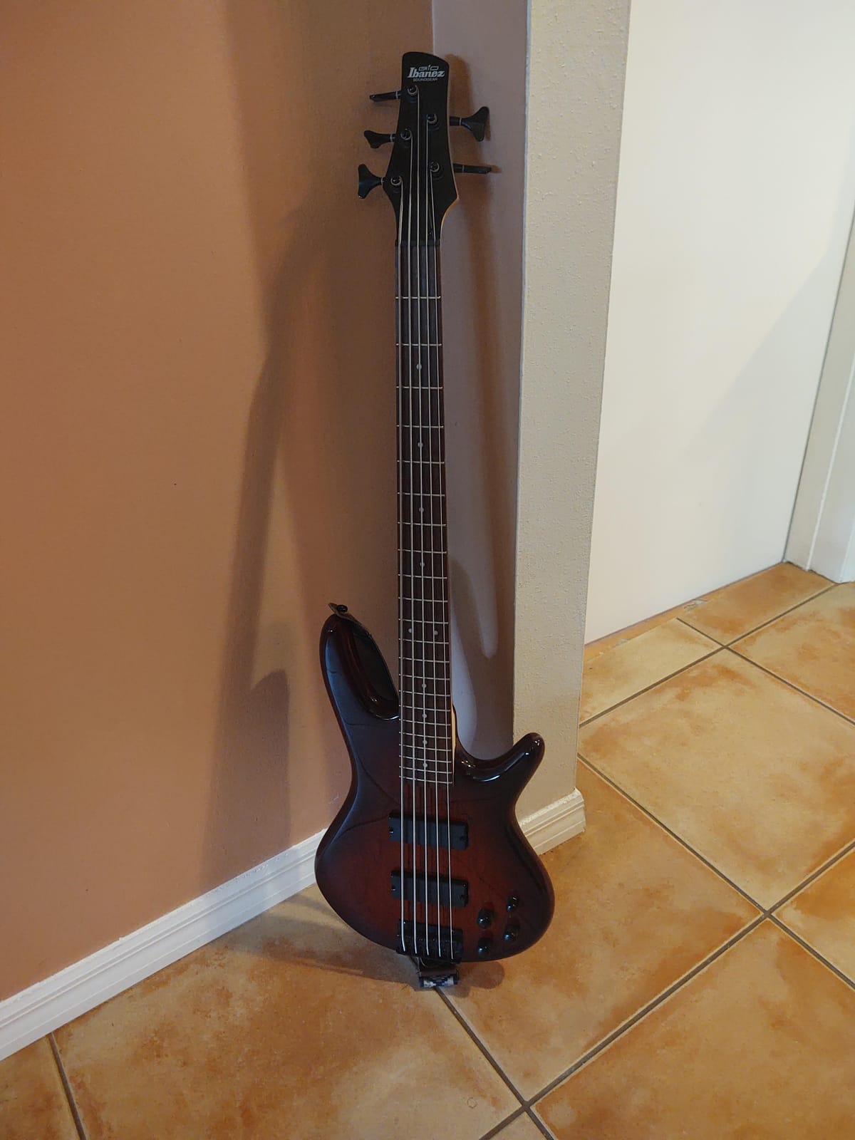 Ibanez GSR205BWNF GIO - Walnut Flat customer photo 1