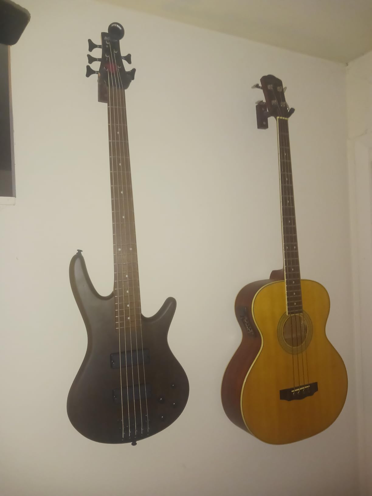 Ibanez GSR205BWNF GIO - Walnut Flat customer photo 2