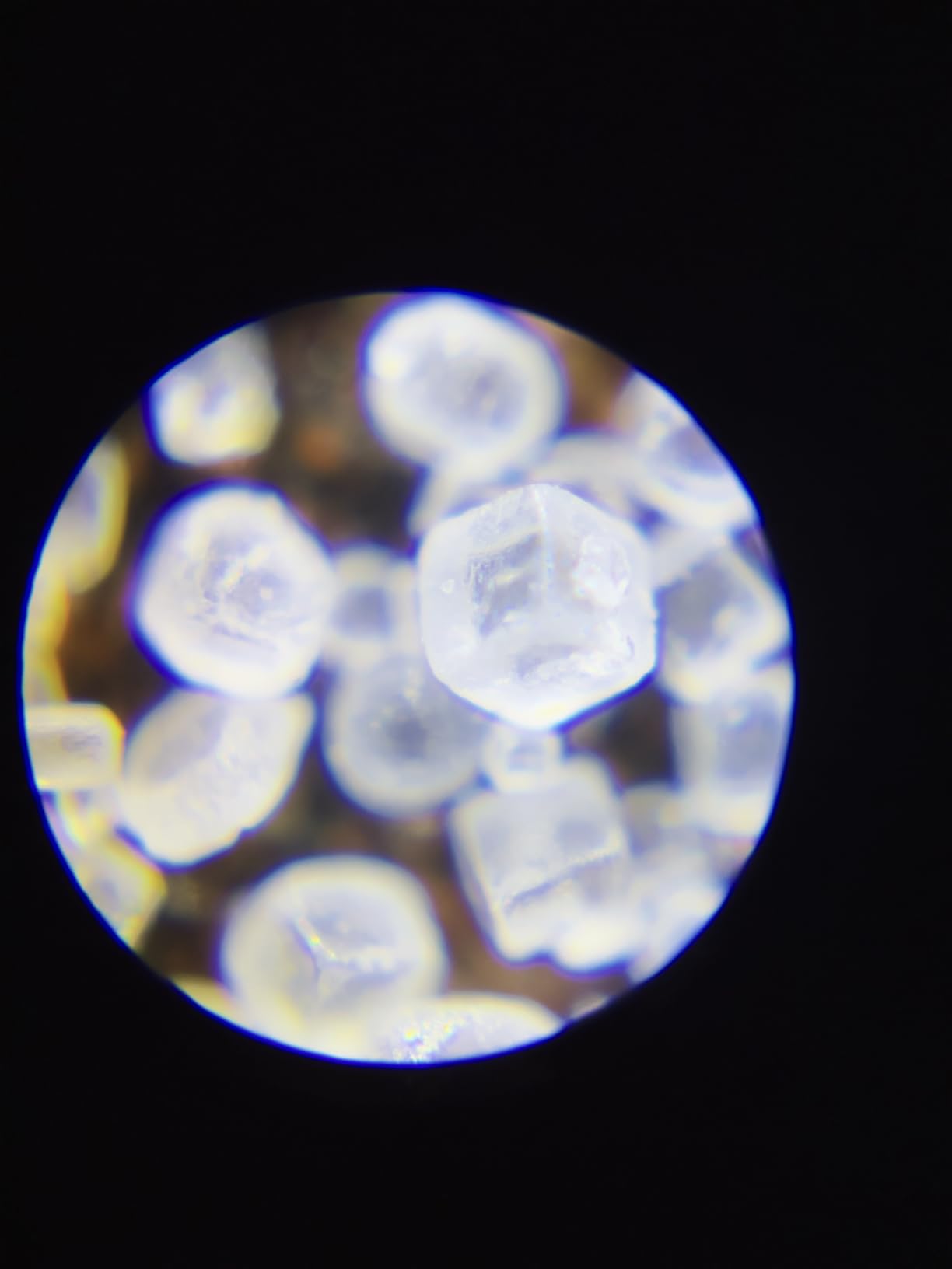 Carson MicroFlip 100x-250x, LED UV Pocket Microscope with Smartphone Clip, STEM Education (MP-250) customer photo 2