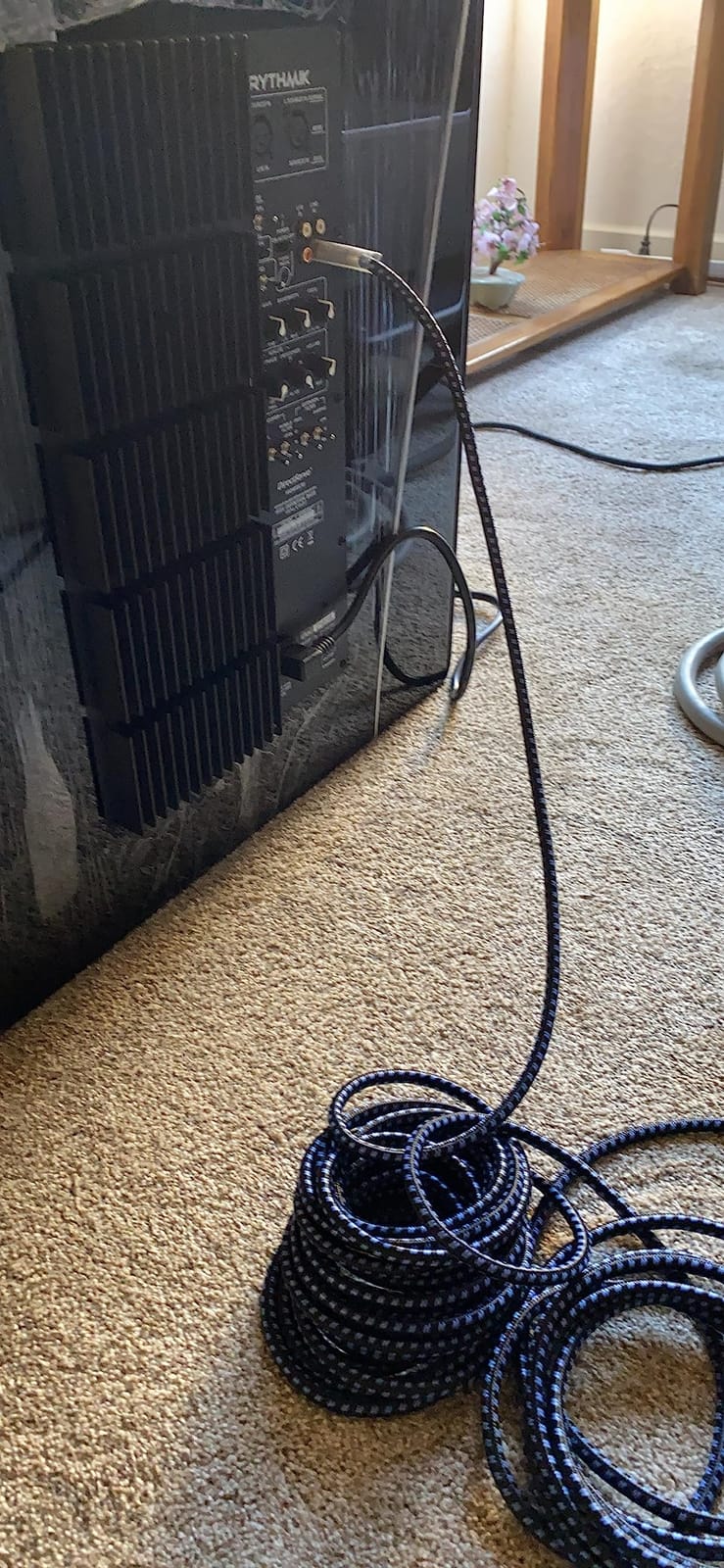 SVS SoundPath 5M RCA Audio Interconnect customer photo 1