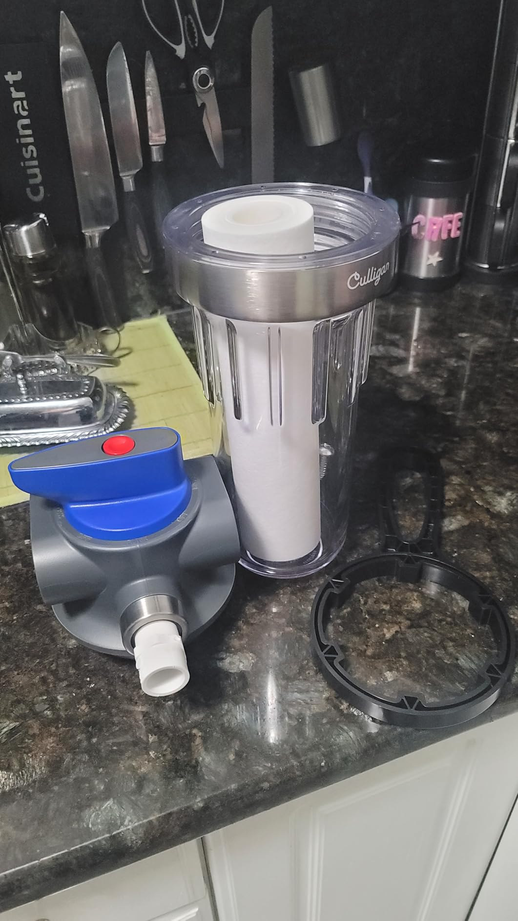Culligan WH-S200-C Whole House Water Filter Housing – 3/4