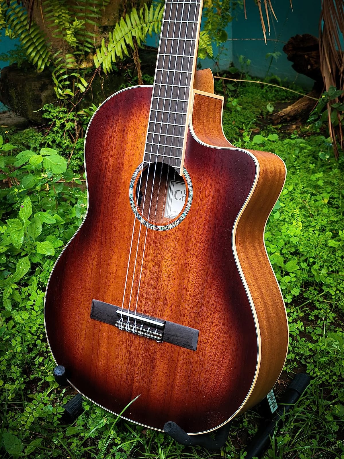 Cordoba C4-CE Edge Burst Cutaway Classical Acoustic-Electric Nylon String Guitar, Iberia Series customer photo 1