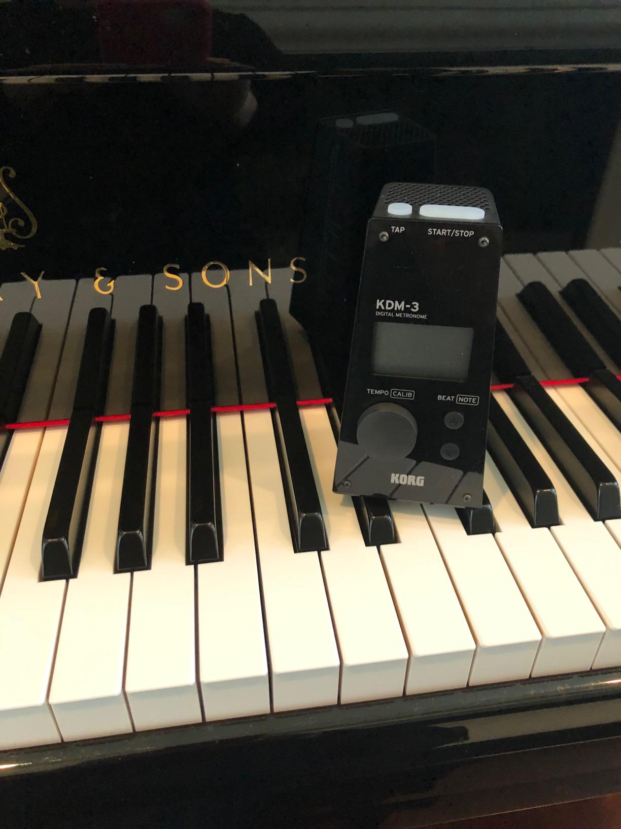 Korg KDM-3 Digital Metronome w/ Memory Backup - Black customer photo 1