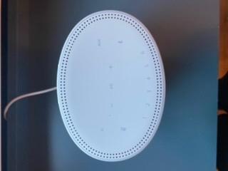 Bose Home Speaker 300: Bluetooth Smart Speaker with Amazon Alexa Built-in, Black customer photo 1