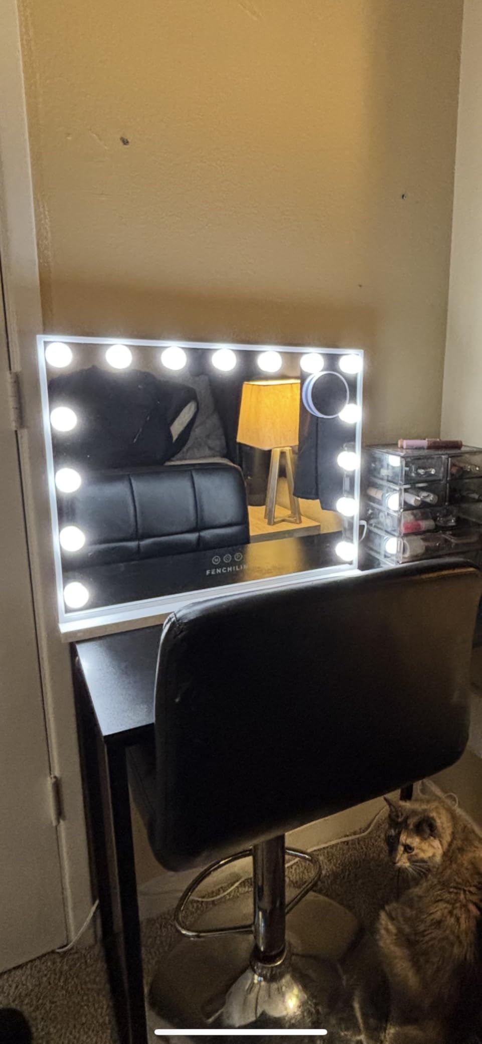 FENCHILIN Vanity Mirror with Lights, Hollywood Makeup Mirror customer photo 1