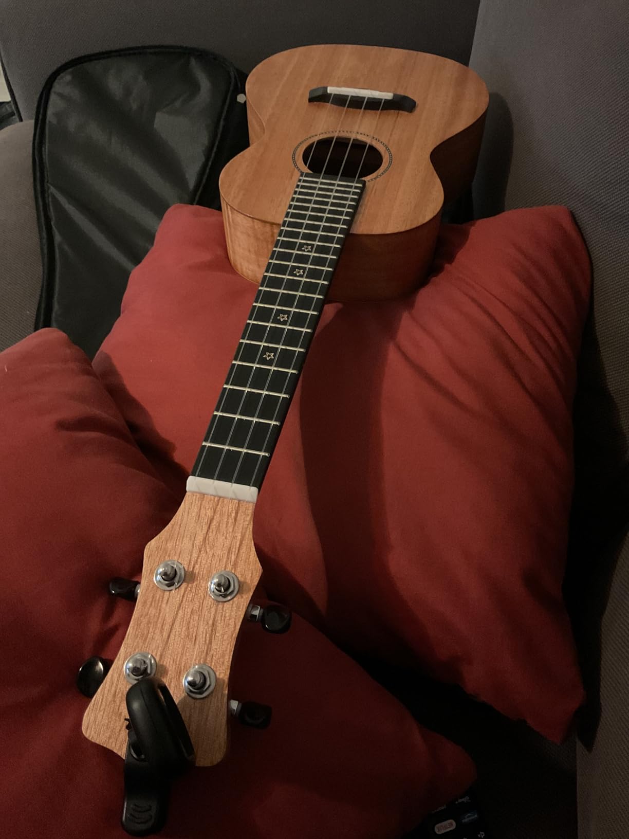 Enya EUC-25D 23 Inch Concert Ukulele, Solid Mahogany Top, Blue customer photo 2