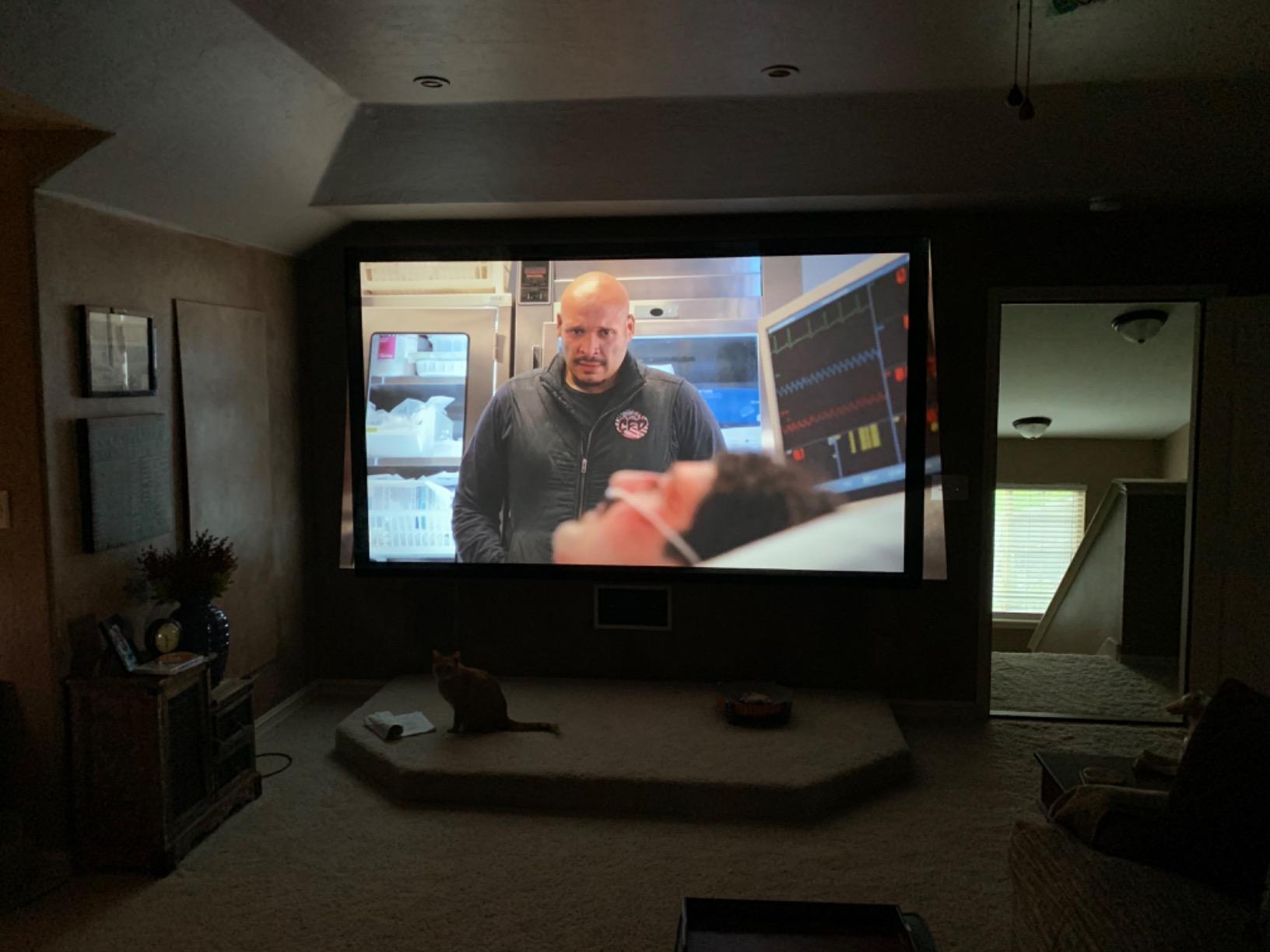 Optoma HD146X 1080P Full HD Vibrant Home Theater Projector customer photo 2