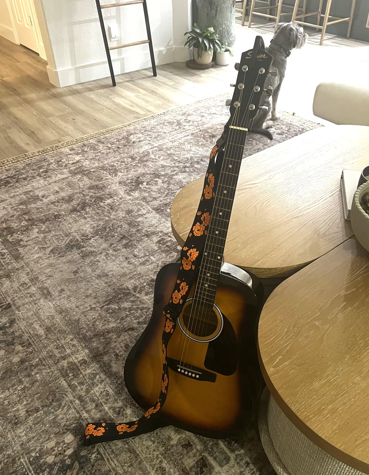 Fender FA Series Dreadnought Acoustic Guitar - Black Bundle with Gig Bag, Tuner, Strap, Strings, String Winder, Picks, and Austin Bazaar Instructional DVD customer photo 1