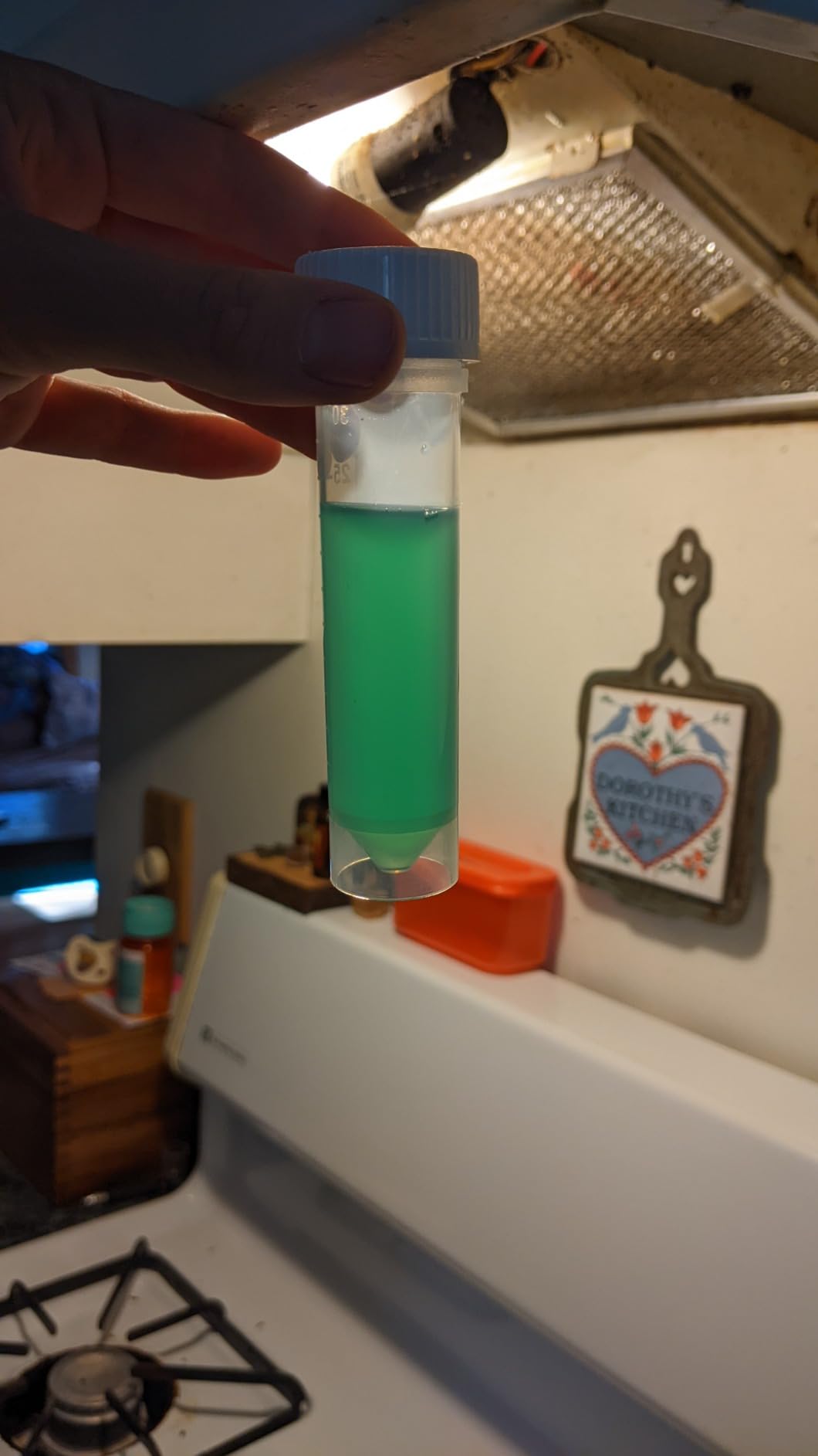 Safe Home DIY Bacteria in Water Test Kit (1 Pack) customer photo 2