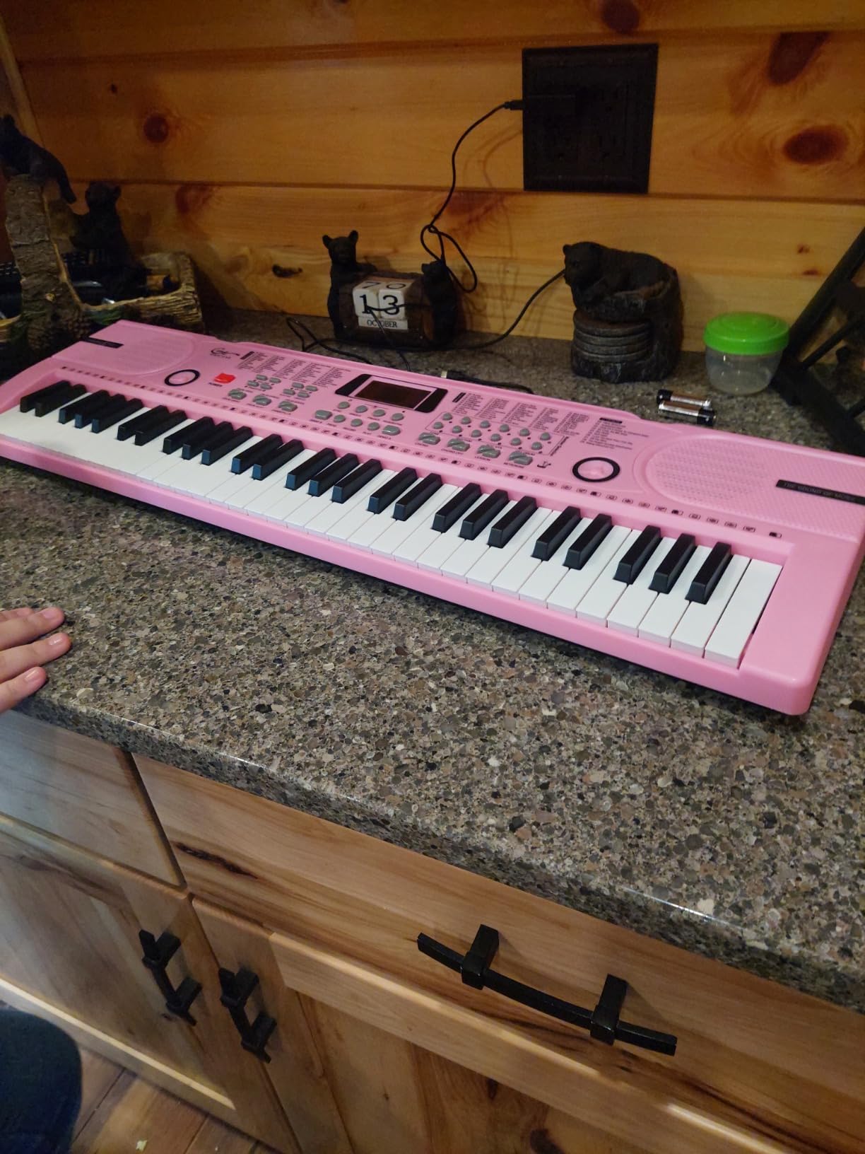 Piano Keyboard, 61 Keys Beginner Electronic Keyboard Portable Digital Music Keyboard, Early Education Music Instrument with Microphone & Music Sheet Stand customer photo 1