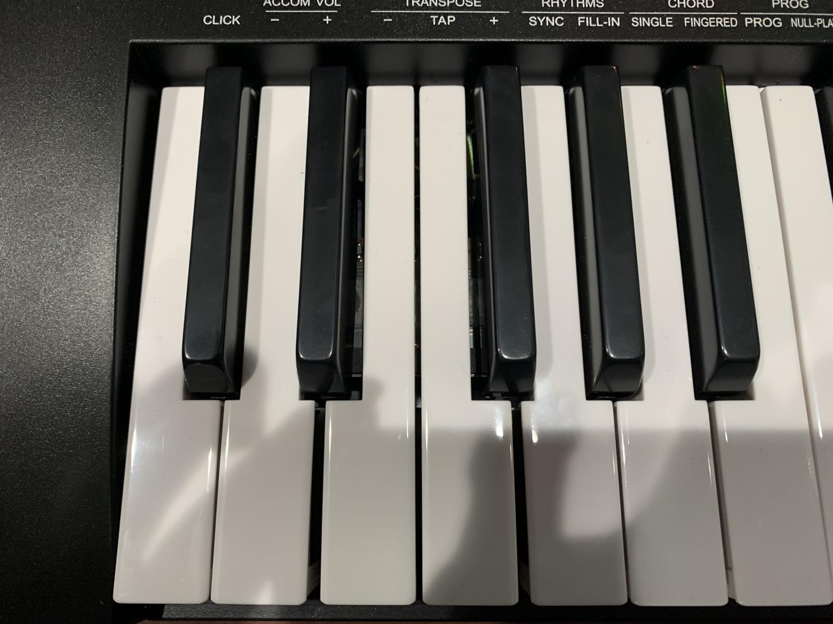 Ashthorpe 61-Key Electronic Keyboard Piano for Beginners, Digital Piano Keyboard Set Includes Headphones, Microphone, and Keynote Stickers customer photo 2