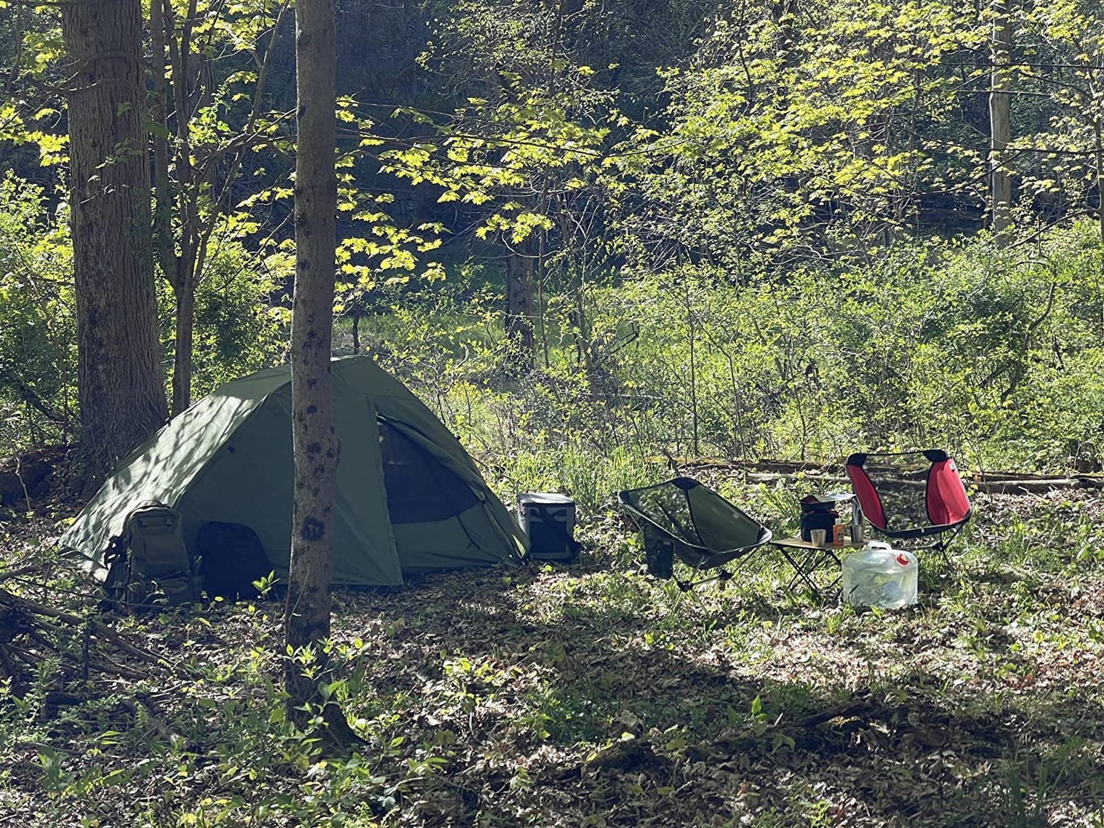 Teton Sports Vista Quick Tent; Dome Camping and Backpacking Tent; Easy Instant Setup; Clip-On Rainfly Included customer photo 2