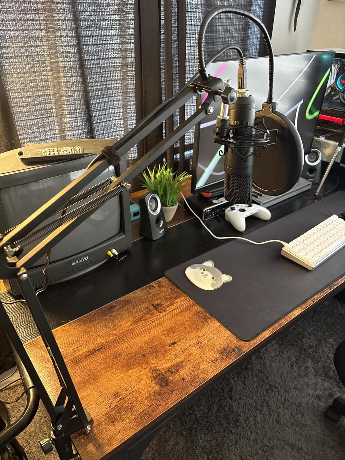 Amazon Basics Adjustable Microphone Boom Arm Stand, 14 inch, Supports Standard Microphones, Adjustable Tension, Includes Pop Filter & Windscreen, Desk Clamp Mount, Black customer photo 1