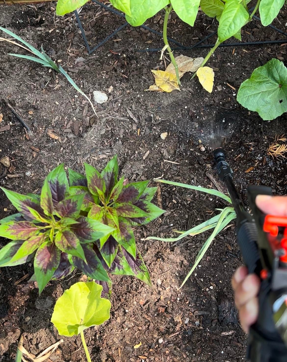 PetraTools HD2000-S 2 Gallon Battery Powered Garden Sprayer, 2 Hour Runtime customer photo 1