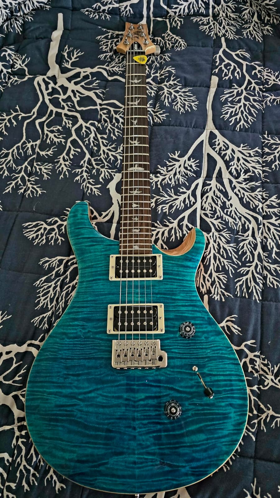 PRS SE Custom 24 Exclusive with Gig Bag, Vintage Yellow customer photo 2