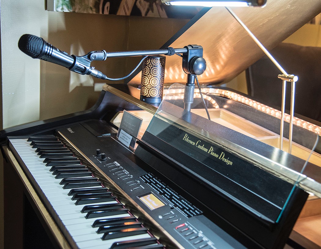 TONOR Professional Vocal Microphone for Singing, Dynamic Wired Karaoke Mic customer photo 2