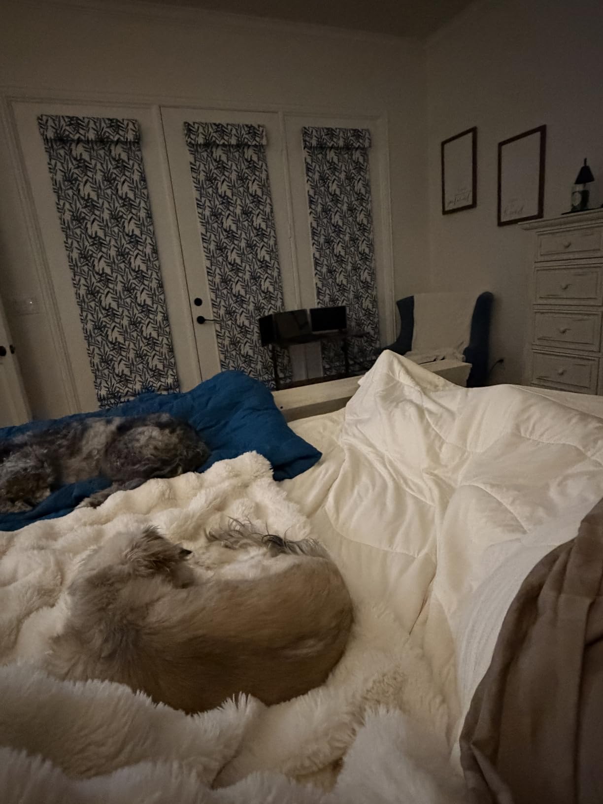 REST® Evercool® Cooling Comforter Blanket for Hot Sleepers, King/Cali King customer photo 2