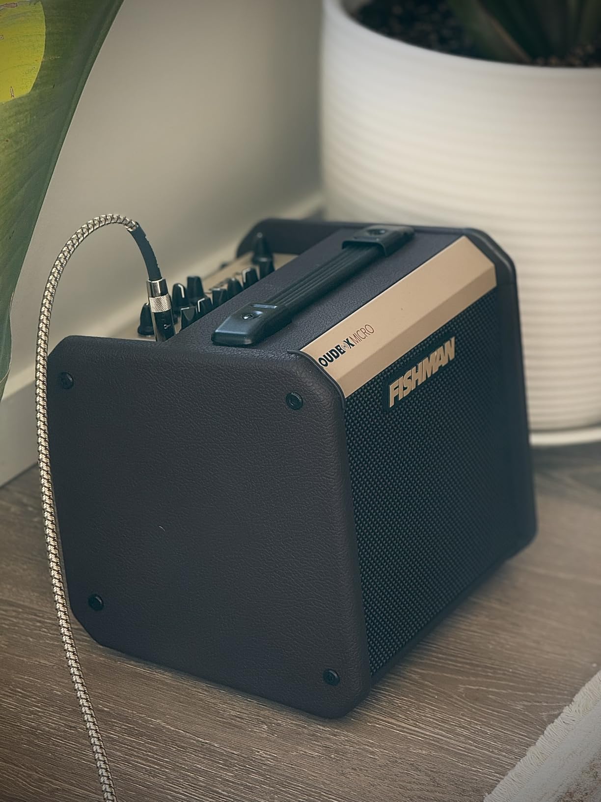 Fishman Loudbox Micro 40-watt 1 x 5.25-inch Acoustic Combo Amp customer photo 2