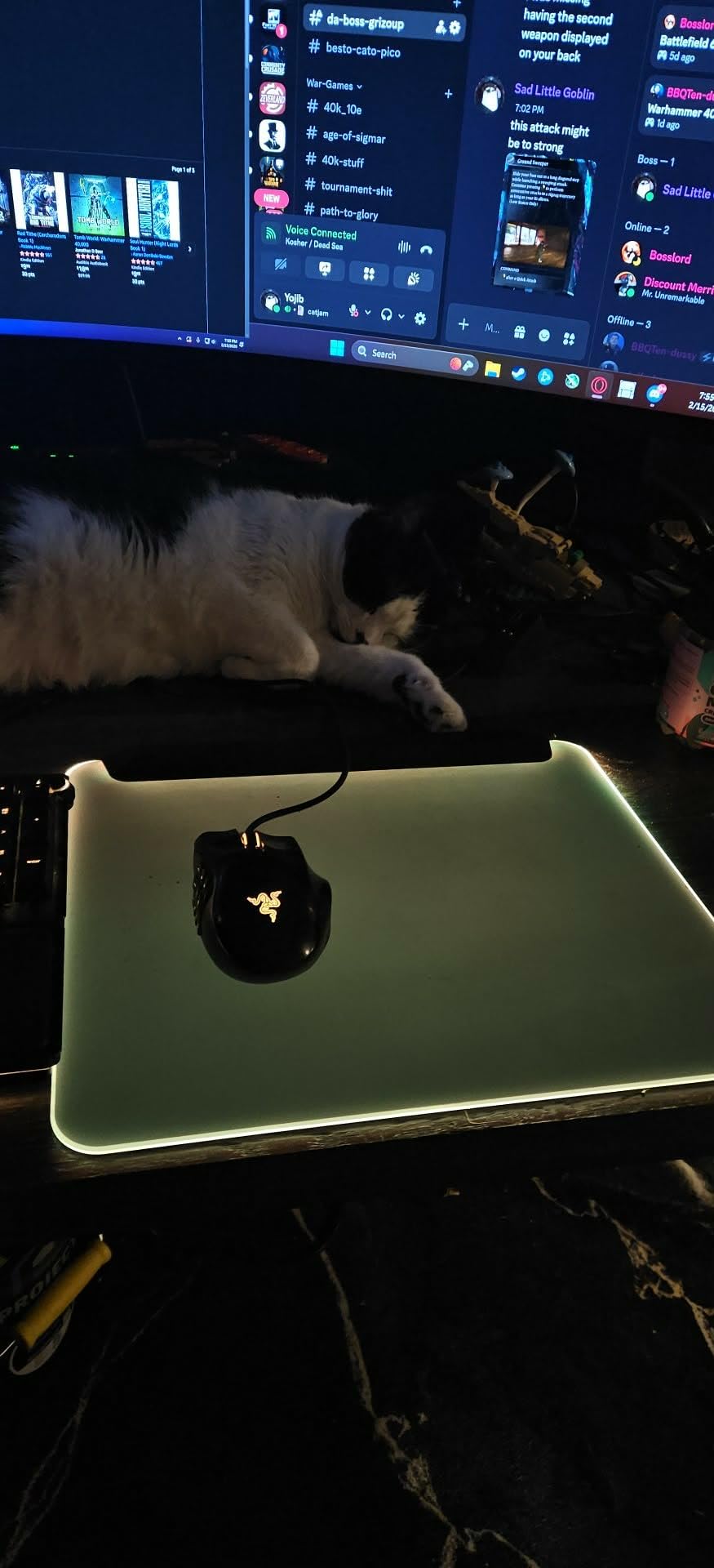 Razer Firefly V2 Pro Fully Illuminated RGB Gaming Mouse Mat, Black customer photo 2